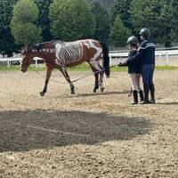 Vacances de la Toussaint